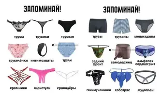 1000027521.webp