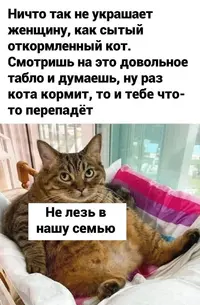 22_224212_364.webp