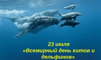 XIfxKFT_zSs.webp