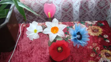 DSC03587.webp