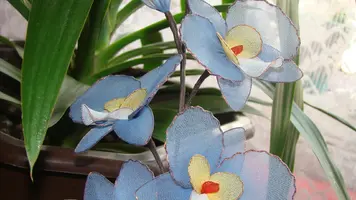 DSC03622.webp