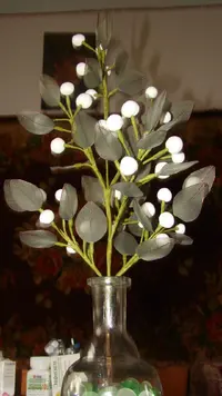 DSC03644.webp