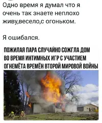 1000012593.webp