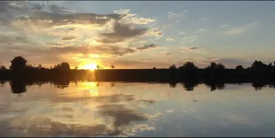 1753385305831.webp