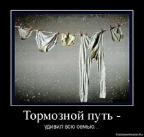 podborka_9_9.webp