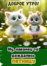 ee252308b473b09163a8152fdad1f170.webp