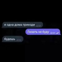 1000133006.webp