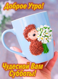 1000133007.webp