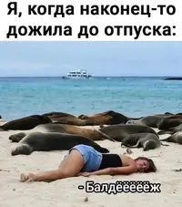 1000133130.webp