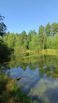 IMG20250727095009.webp