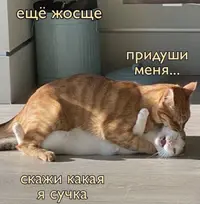 IMG_4321.webp