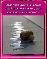 1000133456.webp