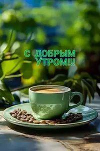 1000133501.webp