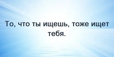 N_aSINOGajs.webp