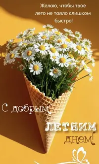 IMG_4447.webp