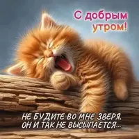 IMG-20250806-WA0006.webp