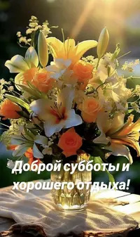 IMG_4581.webp