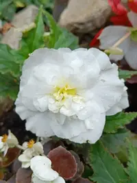 20250810114321.webp