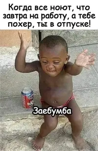 c6bafab1a5718fc50d5a524fb1ff1d37 (1).webp