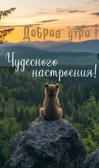 17f446194c98154dbd11b61f8dc92b48.webp