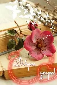 715_072842_726.webp