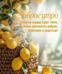 718_183519_902.webp
