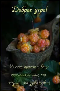 0721_075535_590.webp