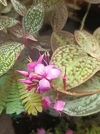 20250815125053.webp