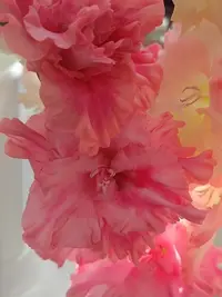 20250815122336.webp