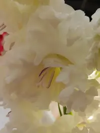 20250815122359.webp