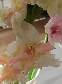 20250815122437.webp