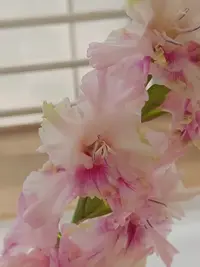 20250815122444.webp