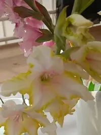 20250815122453.webp