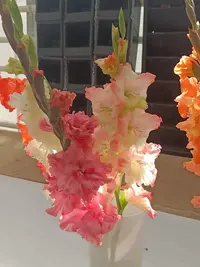 20250815122328.webp