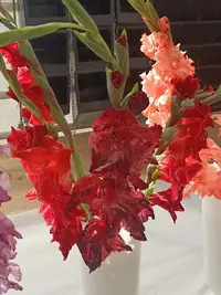 20250815122422.webp