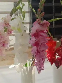 20250815122427.webp