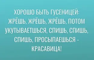 1755291807183.webp