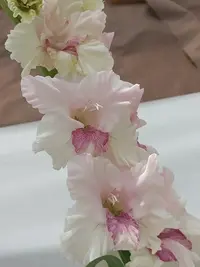 20250815122535.webp