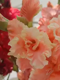 20250815122658.webp