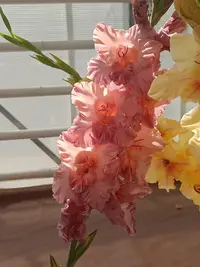 20250815122554.webp