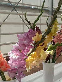 20250815122649.webp