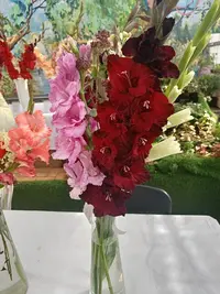20250815122733.webp