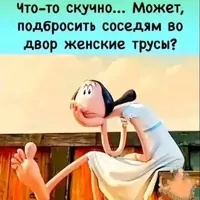 1000135290.webp