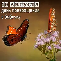 i (1).webp