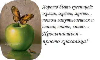 7e16f970d7d4df1155ae6f9fb5ebc48a.webp