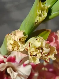 20250815122820.webp