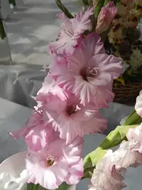 20250815122911.webp