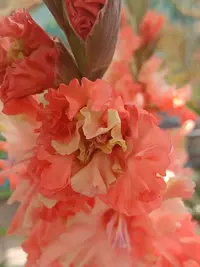 20250815122949.webp