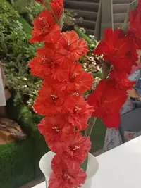 20250815122753.webp