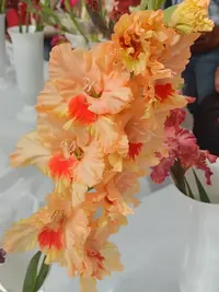 20250815122846.webp